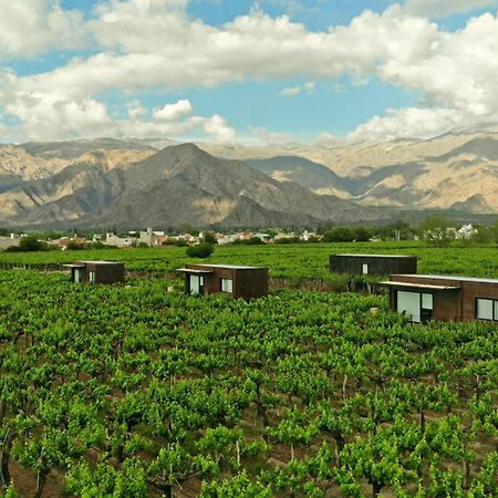 קאפאייט El Porvenir Wine Lodge מראה חיצוני תמונה