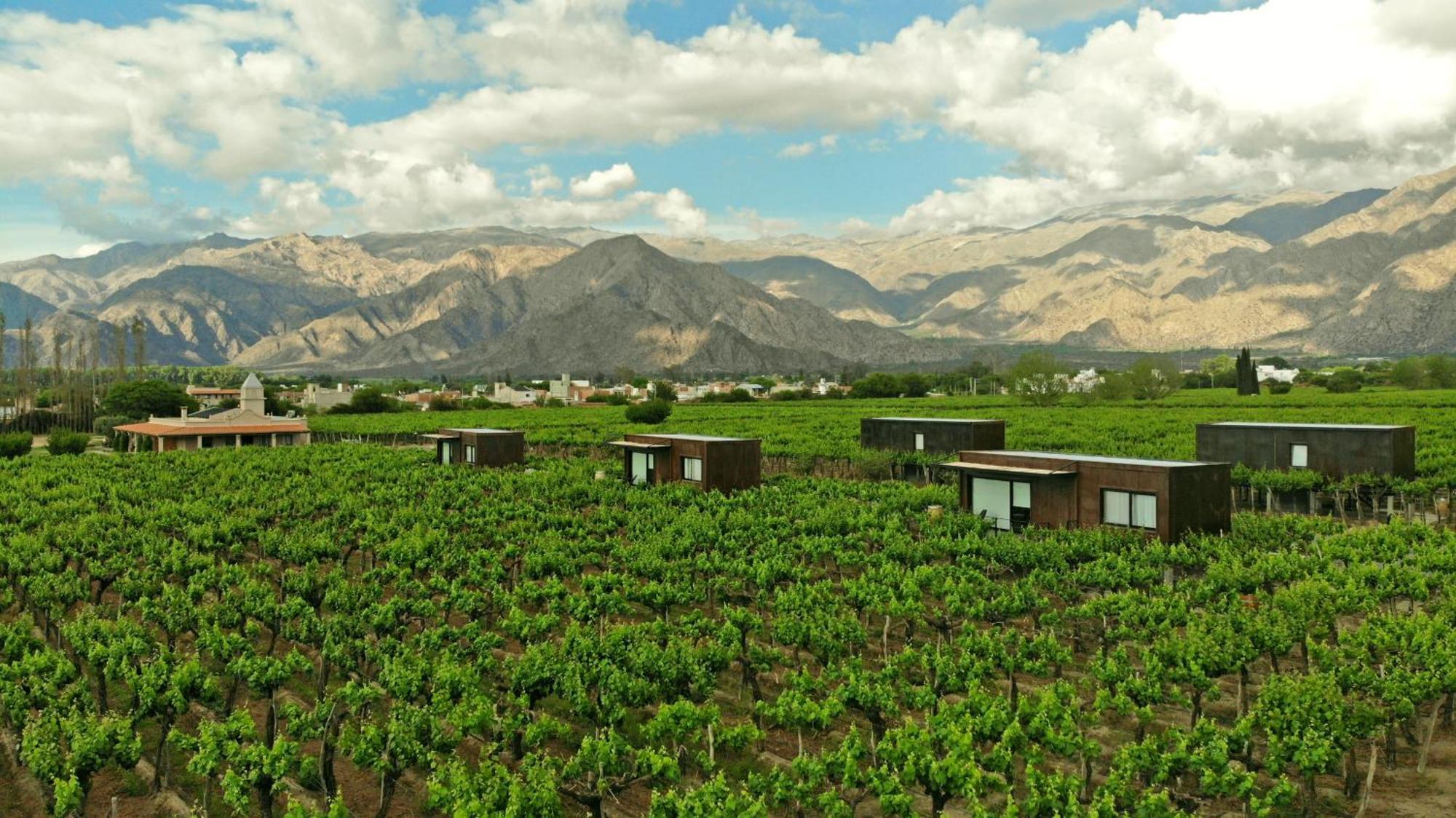 קאפאייט El Porvenir Wine Lodge מראה חיצוני תמונה