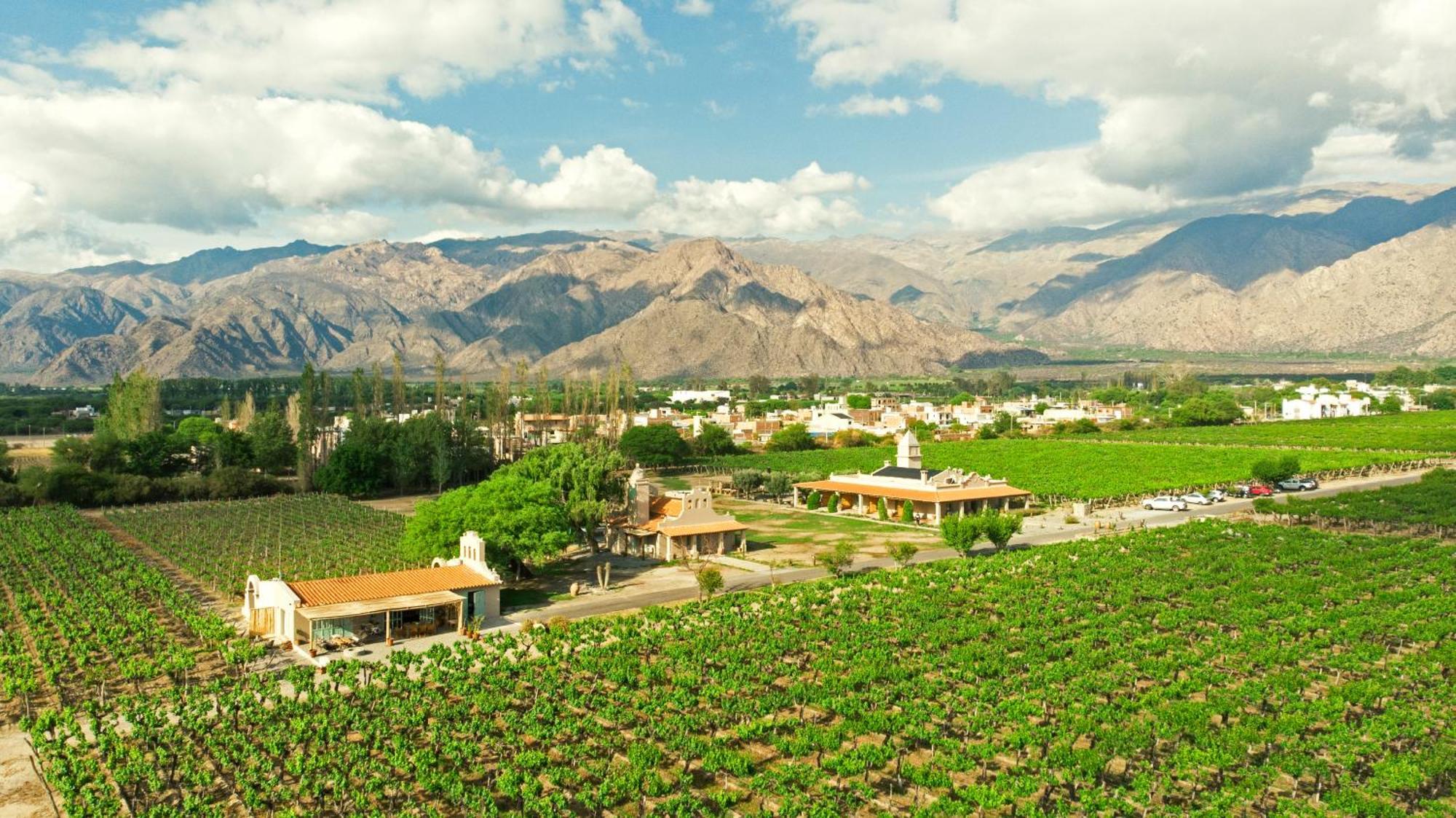 קאפאייט El Porvenir Wine Lodge מראה חיצוני תמונה