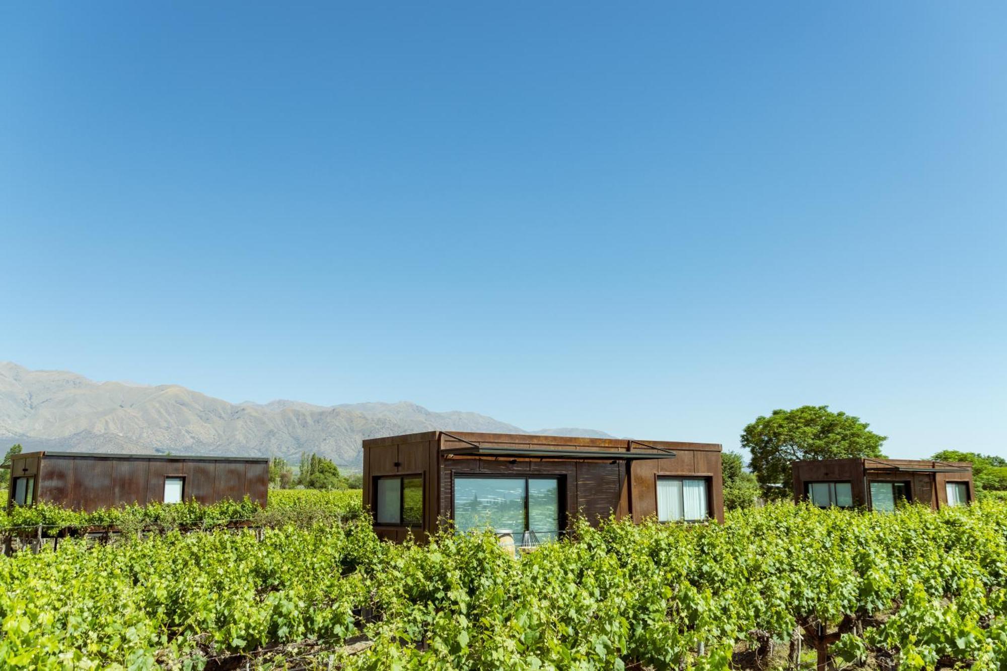 קאפאייט El Porvenir Wine Lodge מראה חיצוני תמונה