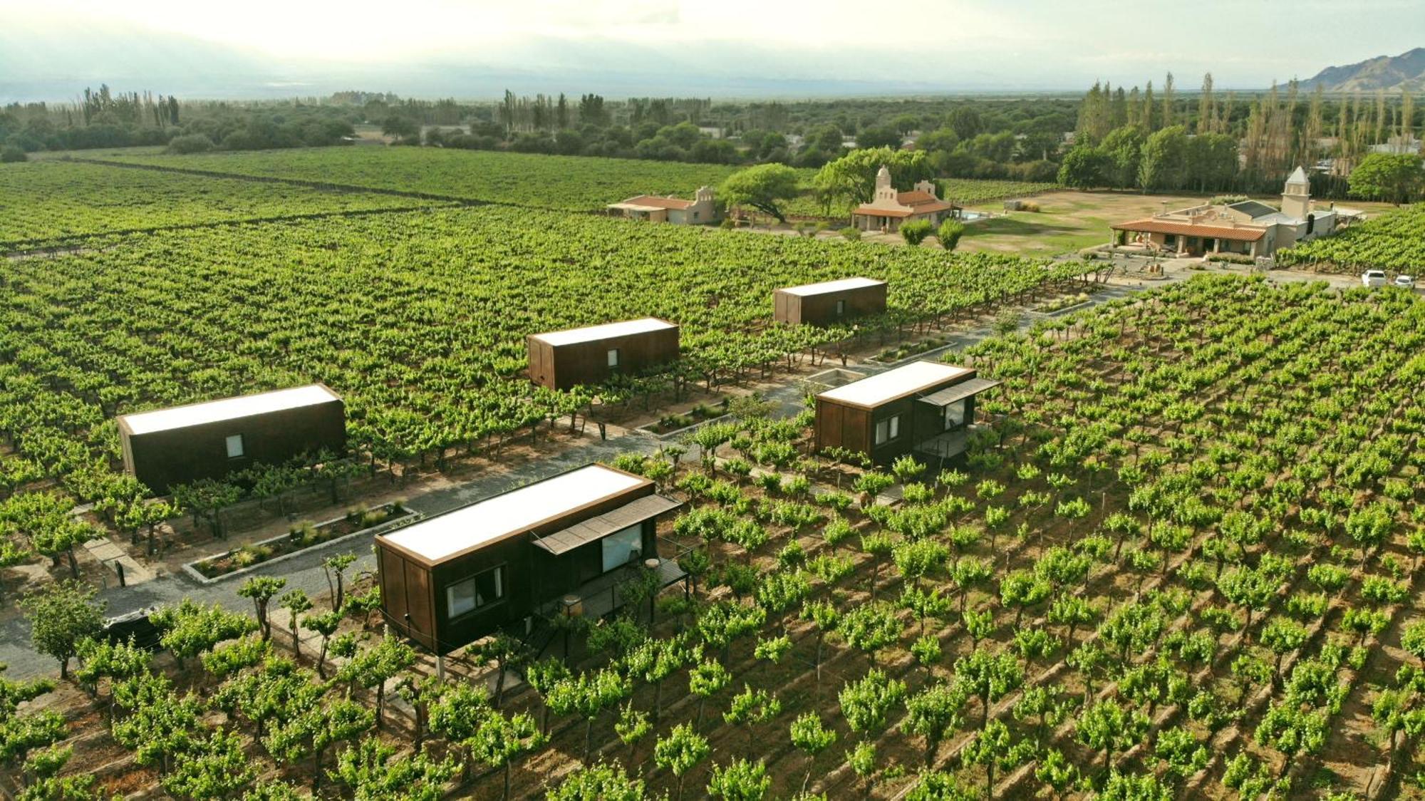 קאפאייט El Porvenir Wine Lodge מראה חיצוני תמונה