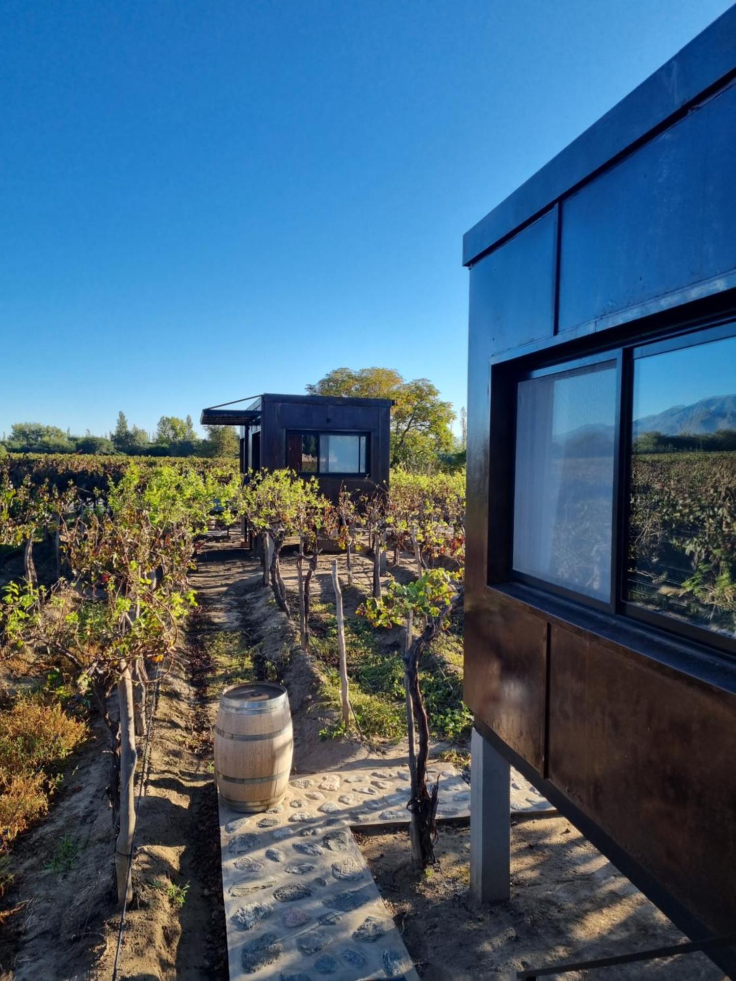 קאפאייט El Porvenir Wine Lodge מראה חיצוני תמונה
